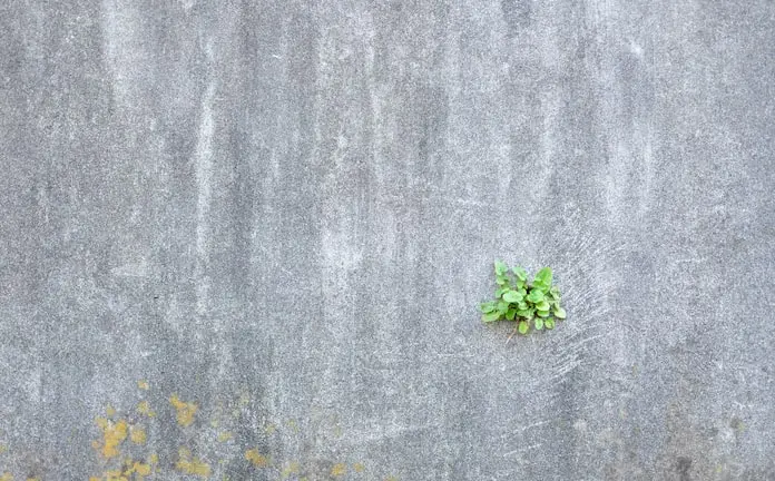 Concevoir pour la résilience